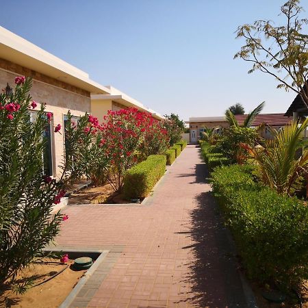 Almorouj Farm Inn - Badīyah Екстериор снимка
